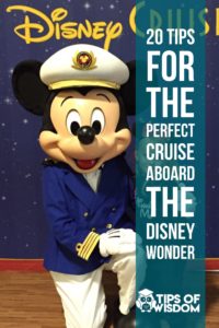 Disney Cruise tips and ideas aboard the Disney Wonder Cruise ship