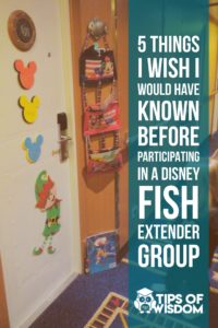 5 Things I Wish I Would Have Known Before Participating in a Disney Fish  Extender Group 