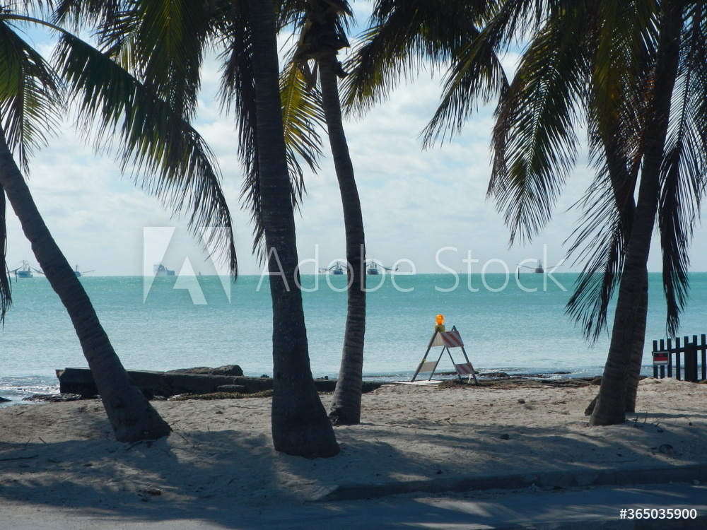 Road sign under plam trees at the beach in Key West Florida Stock Photo