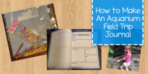 Ideas for making an aquarium journal for your field trip to the aquarium.