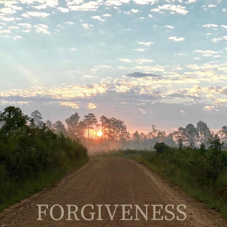 The Road to Self Forgiveness